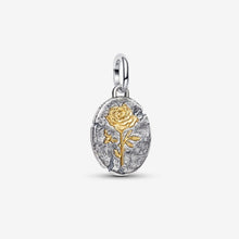 Cargar imagen en el visor de la galería, Charm Medallion Rosa "Rosa Inter Spinas Crescit"