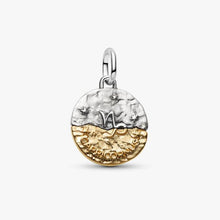 Cargar imagen en el visor de la galería, Charm Medallion Capricorno