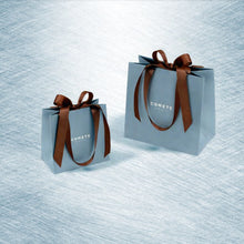 Carica l'immagine nel visualizzatore di Gallery, Collana da uomo in acciaio Comete Elegant UGL 701