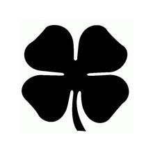 Cargar imagen en el visor de la galería, Imagina grabar