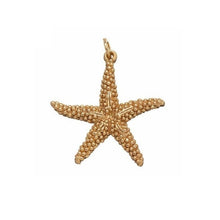 Load image into Gallery viewer, Charm in 925 Silver Golden Starfish Giovanni Raspini 08563
