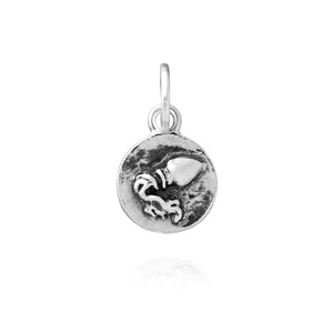 Charm in Argento 925 Giovanni Raspini Acquario Zodiaco 11834