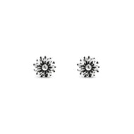 Orecchini da donna in Argento 925 mini margherita luce Giovanni Raspini 12337