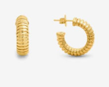 Load image into Gallery viewer, Orecchini Giovanni Raspini Donna TUBOGAS in Argento 12543
