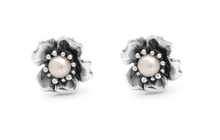 Load image into Gallery viewer, Women's earrings in 925 Silver Fiocchi Giovanni Raspini 07853
