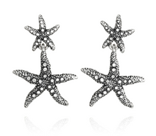 Load image into Gallery viewer, Women's earrings in 925 Silver Fiocchi Giovanni Raspini 07853
