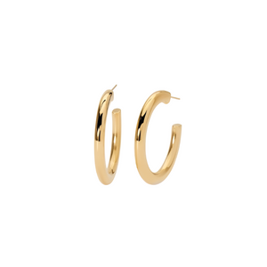 Orecchini da donna in acciaio 304 PVD giallo 2Jewels 261451