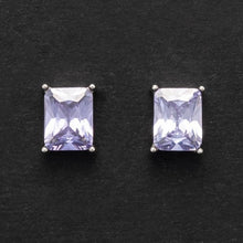 Load image into Gallery viewer, Women&#39;s steel earrings with purple stones For Us Cesare Paciotti 4UOR5511W
