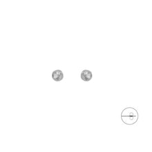 Load image into Gallery viewer, Orecchini da uomo in acciaio 4US Cesare Paciotti 4UOR7862
