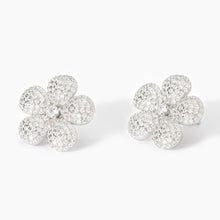 Carica l&#39;immagine nel visualizzatore di Gallery, Orecchini da donna in argento a fiore in zirconi Mabina 563890
