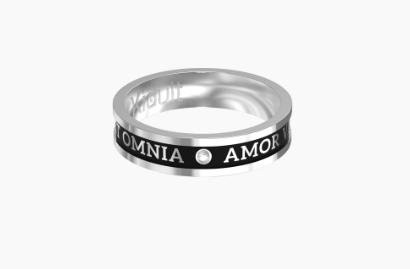 Kidult HIM & HER steel ring | LOVE CONQUERS ALL 721011
