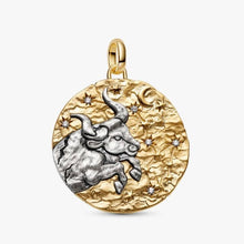 Load image into Gallery viewer, Charm Medallion XL Toro "Fortitudo Animi"
