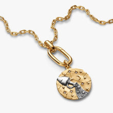 Cargar imagen en el visor de la galería, Charm Medallion XL Acquario "Omnia Mutantur"
