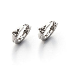 Load image into Gallery viewer, Cesare Paciotti unisex earrings in Silver JPOR1960B

